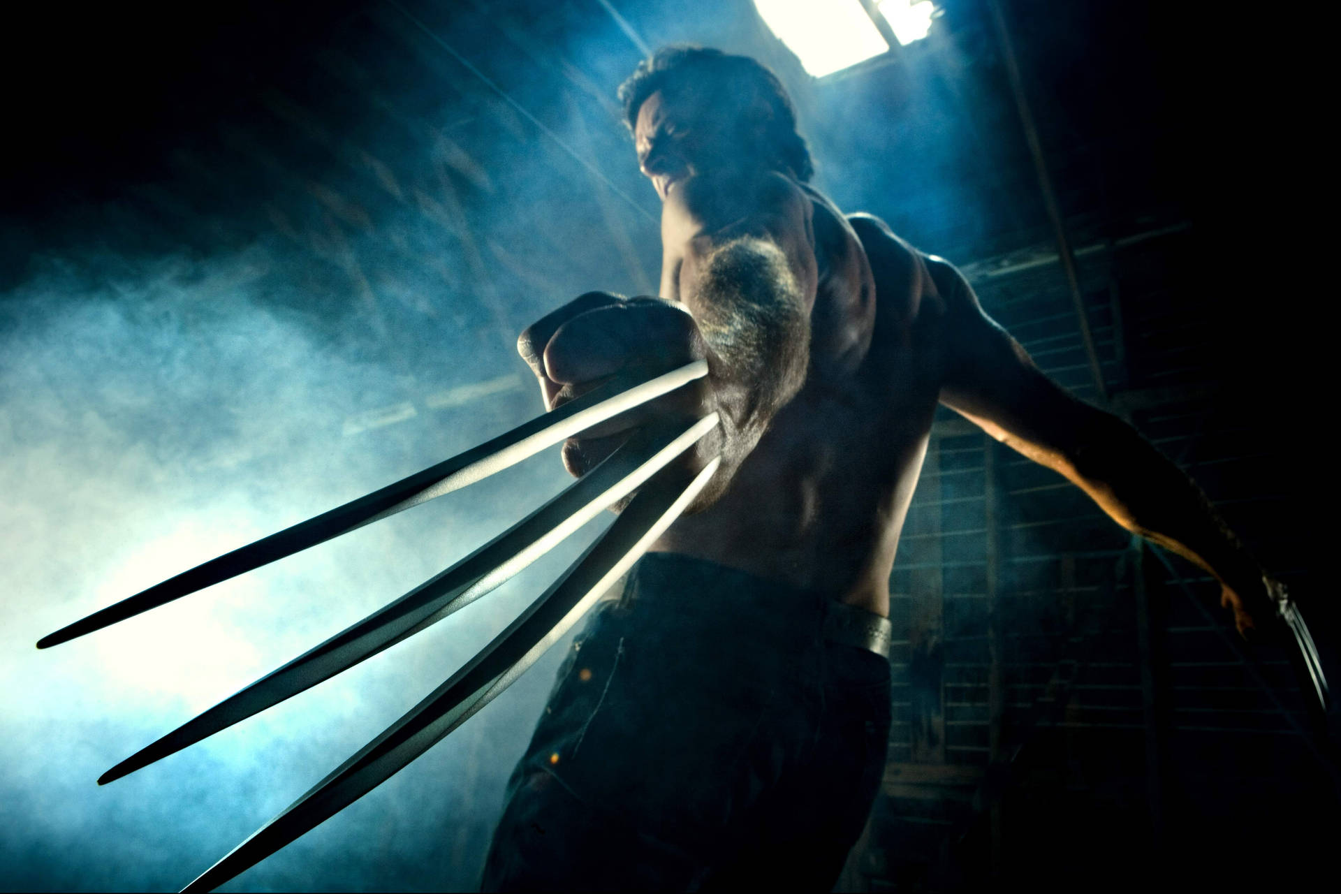 Hugh Jackman Wolverine Back View