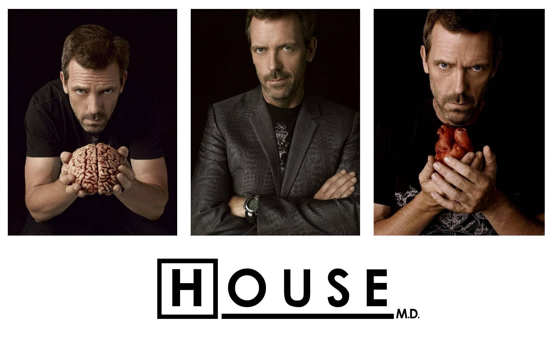 Dette tapet indeholder et grafik af Hugh Laurie som hans karakter Doctor House. Wallpaper