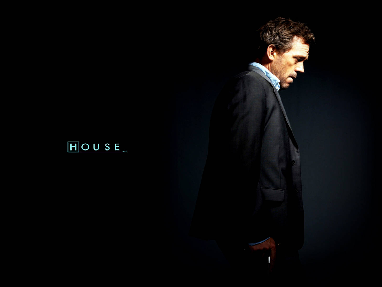 Hugh Laurie House Movie Poster Wallpaper