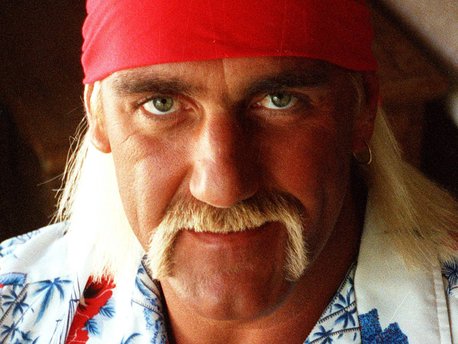 Hulk Hogan Iconic Horseshoe Moustache Wallpaper