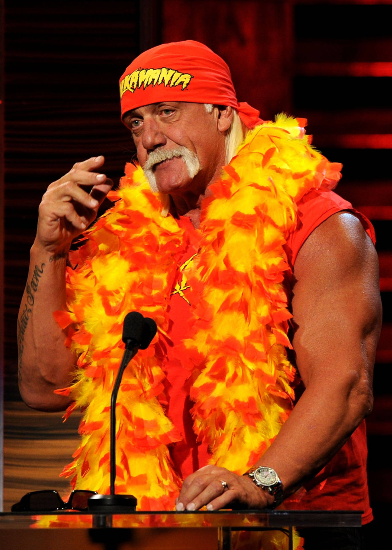 Hulk Hogan With Feather Boa Wallpaper