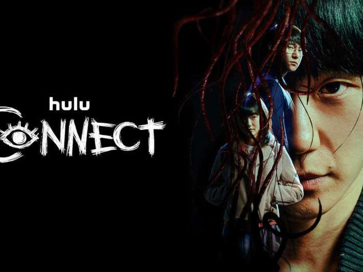 Stream Your Favorite Movies and TV Shows on Hulu