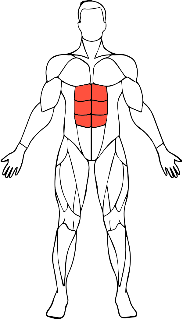 Human Anatomy Abs Illustration PNG