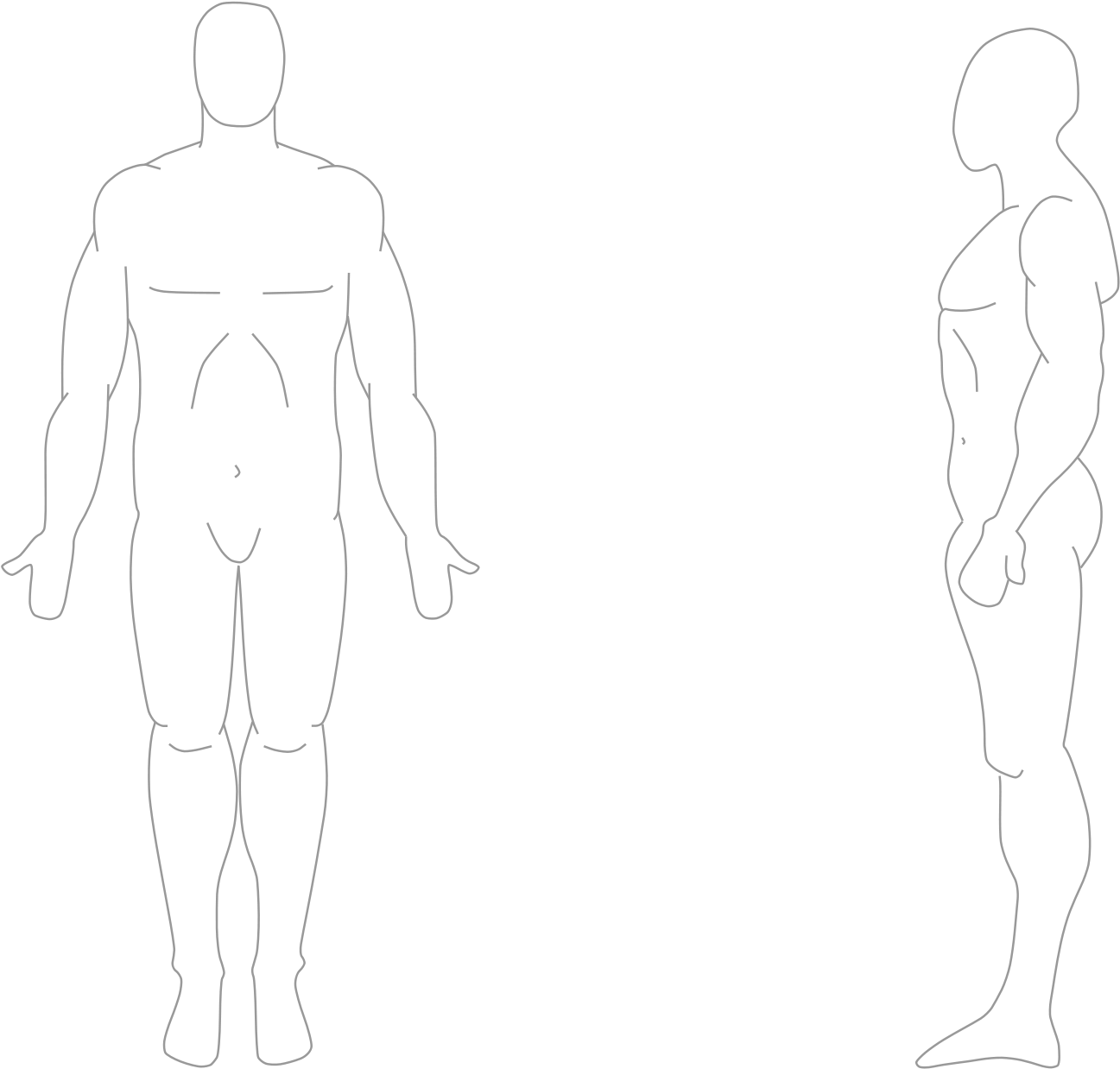 Human Anatomy Outline PNG