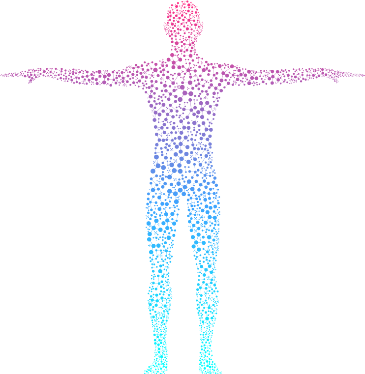 Human Body Cellular Structure Illustration PNG