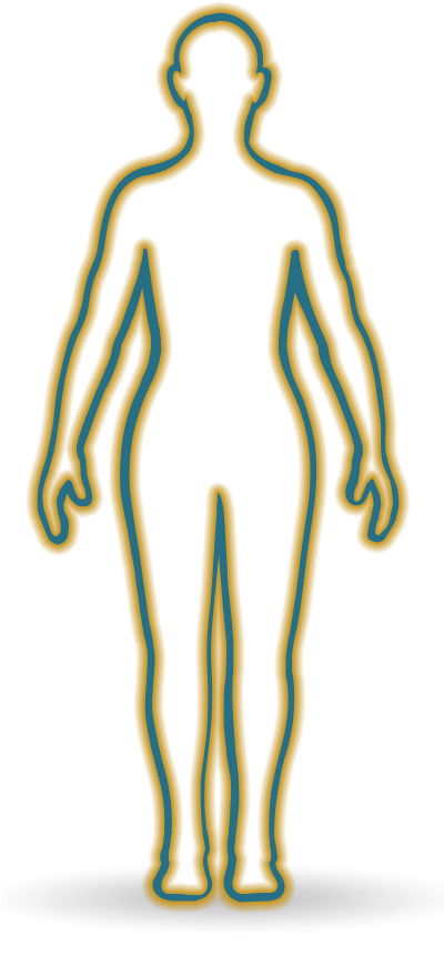 Human Body Outline Illustration PNG