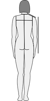 Human Body Silhouette Back View PNG