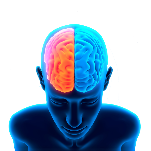 Human Brain Activity Illustration PNG