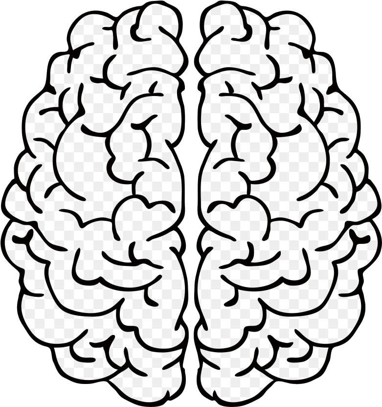 Human Brain Clipart Graphic PNG