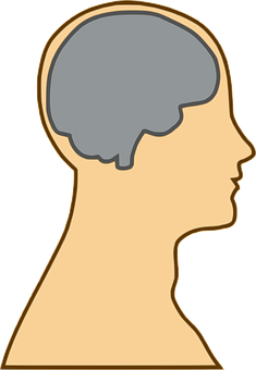 Human Brain Silhouette PNG