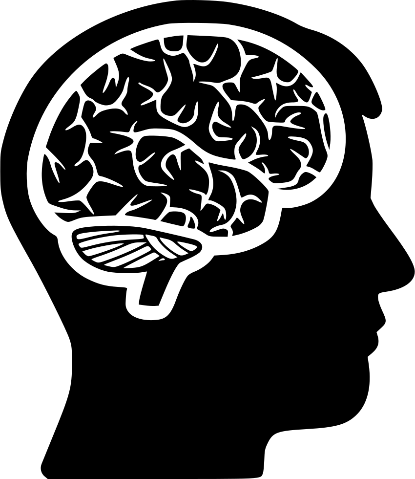 Human Brain Silhouette Outline PNG