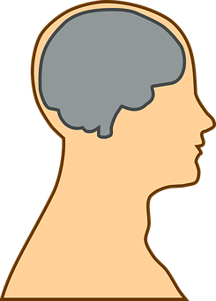 Human Brain Silhouette PNG