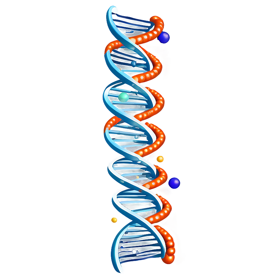 Download Human Dna Structure Png Fmi53 | Wallpapers.com