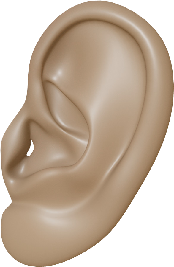 Human Ear Close Up PNG