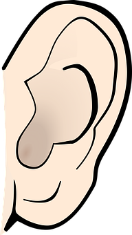 Human Ear Illustration PNG
