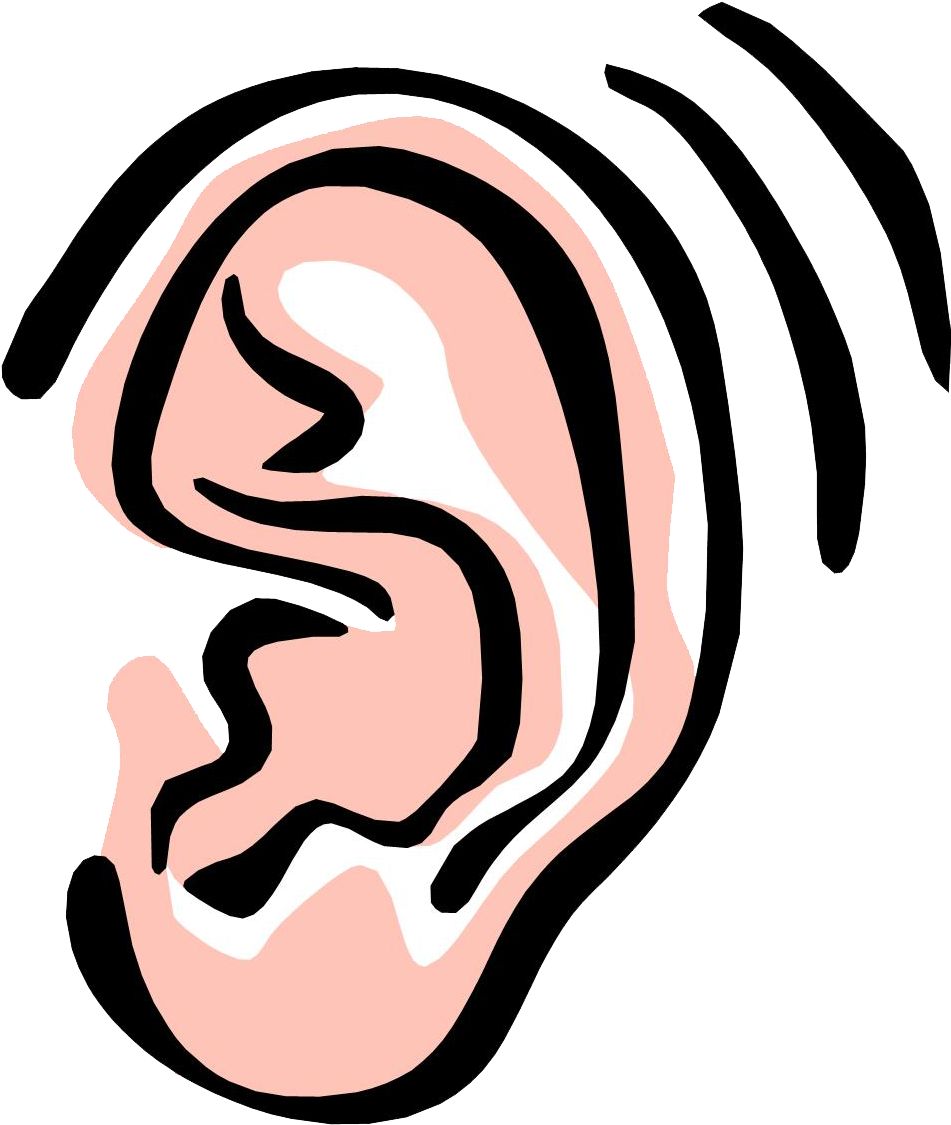 Human Ear Illustration.png PNG