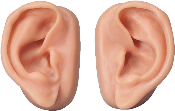 Human Ears Pair Isolated PNG