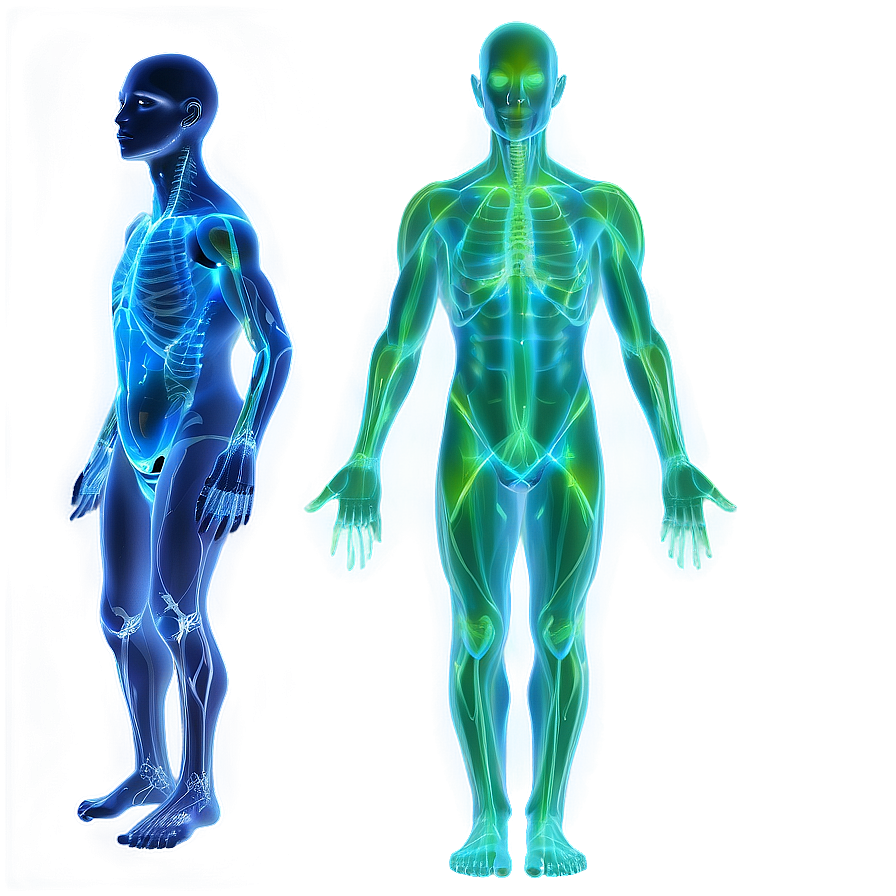 Download Human Energy Field Png Ral60 