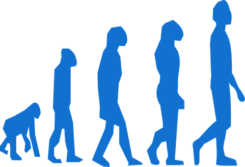Human_ Evolution_ Sequence PNG