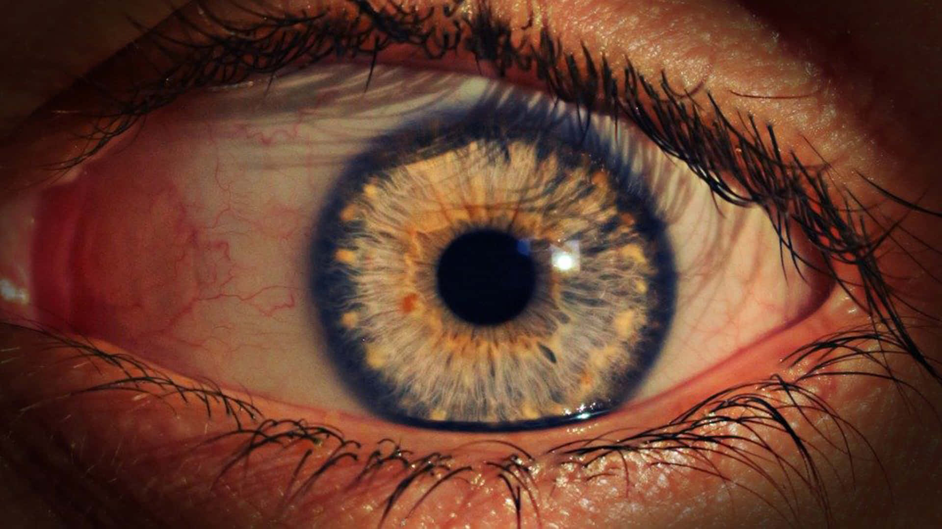 Striking Closeup of a Human Eye with Blue Ring Wallpaper
