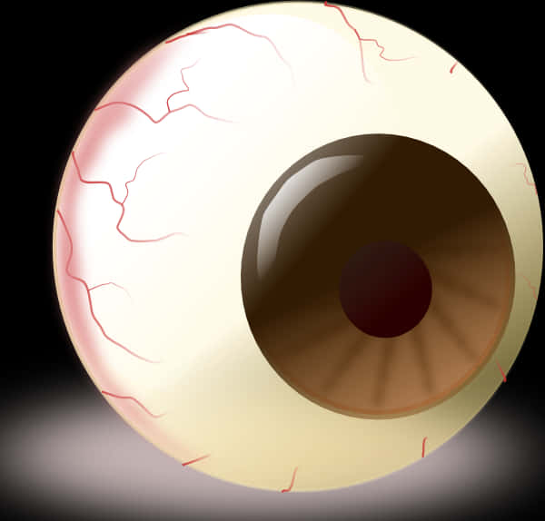 Human Eye Illustration PNG