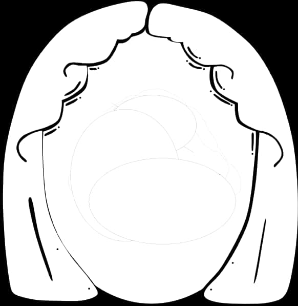 Human Face Outline Sketch PNG