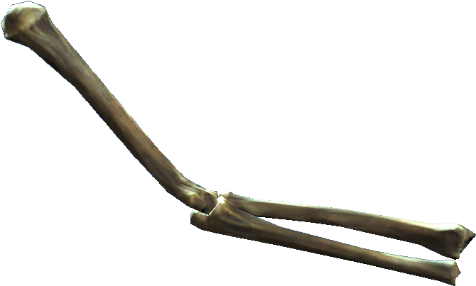 Human Femur Bone3 D Render PNG