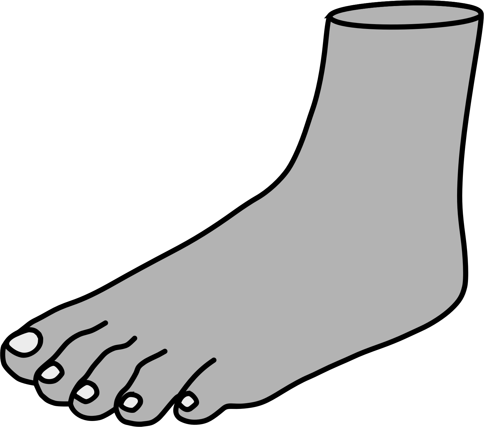 Human Foot Line Art Illustration PNG