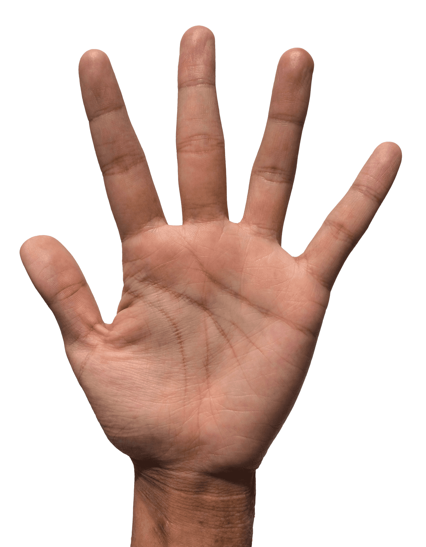 Human Hand Open Palm Fingers Spread PNG