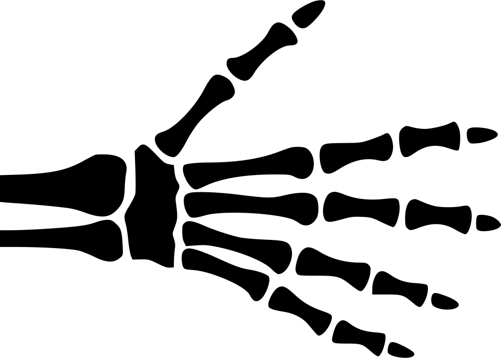 Human Hand Xray Outline PNG