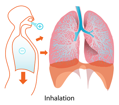 Human Inhalation Process Illustration PNG