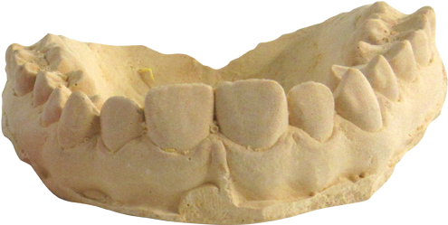 Human Lower Jawbone Model PNG