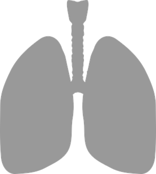 Human Lungs Silhouette PNG