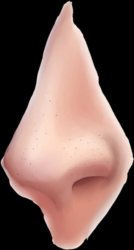 Human Nose Close Up Image PNG