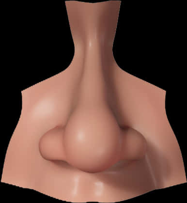 Human Nose Close Up3 D Render PNG