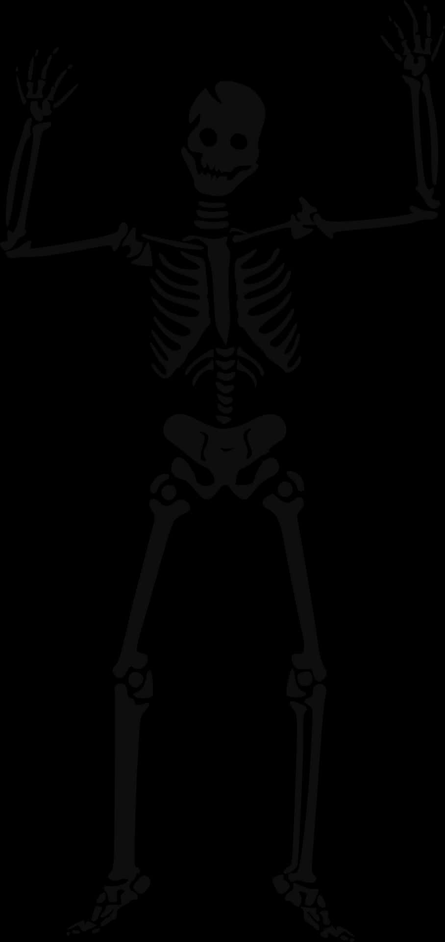 Human Skeleton Illustration PNG