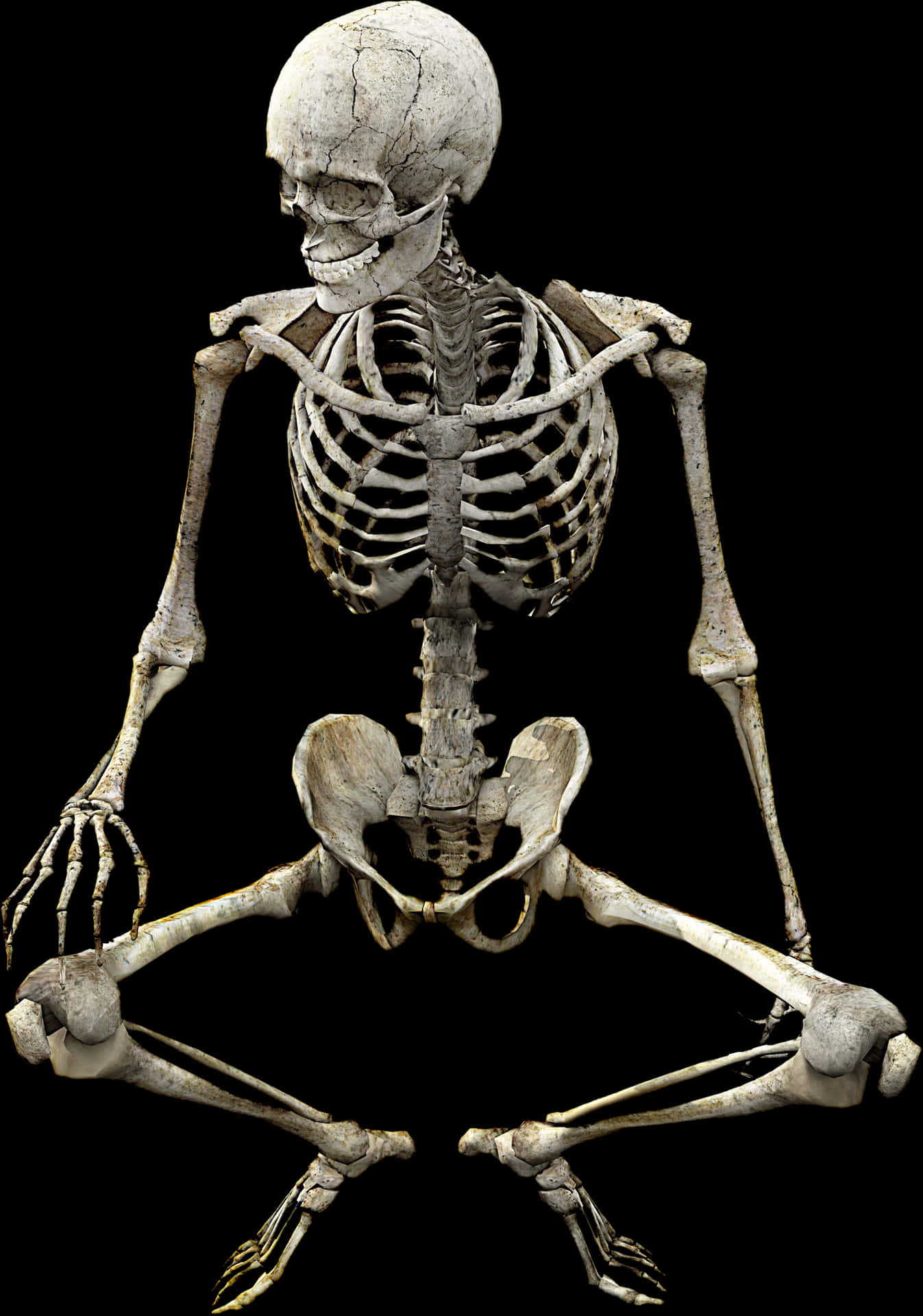 Human Skeleton Isolatedon Black PNG