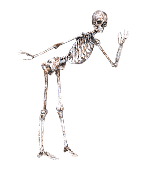 Human Skeleton Pose Black Background PNG