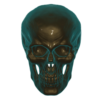 Human Skull X Ray Visualization PNG