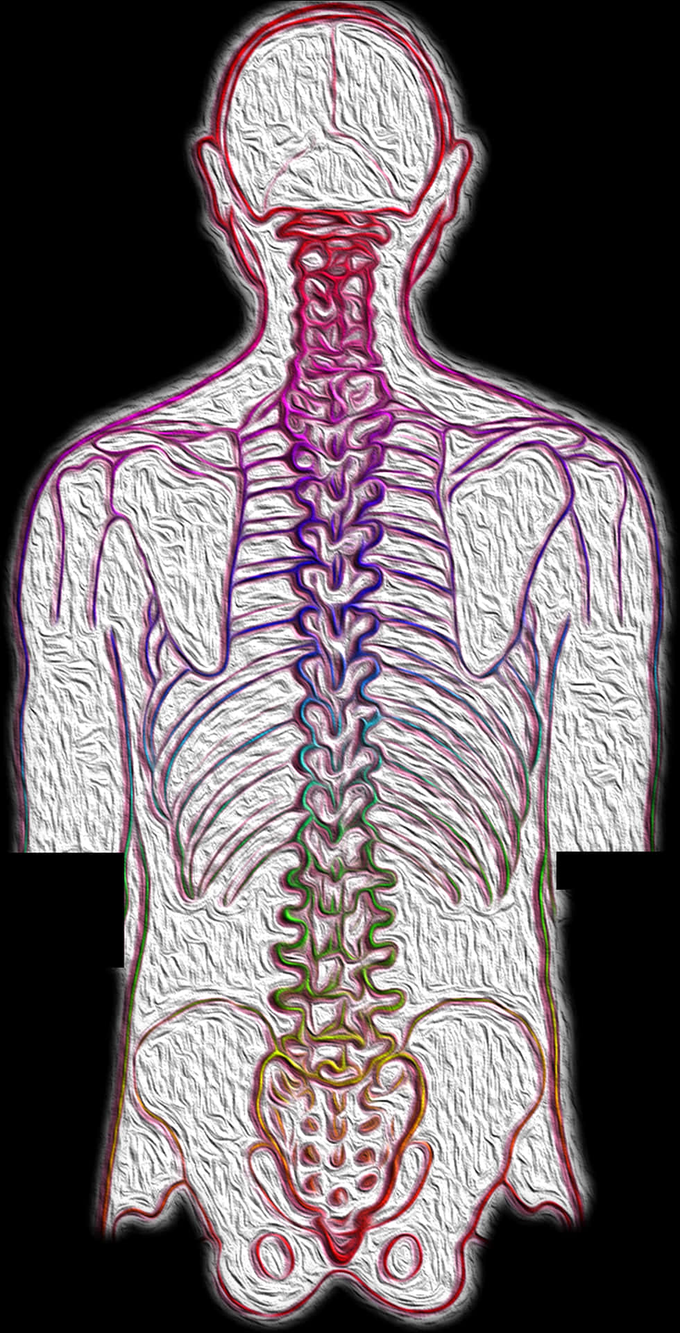Human Spine Pain Artistic Representation PNG