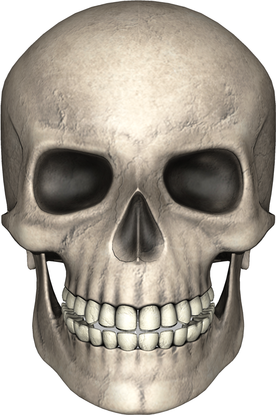 Human_ Skull_ Render_3 D PNG