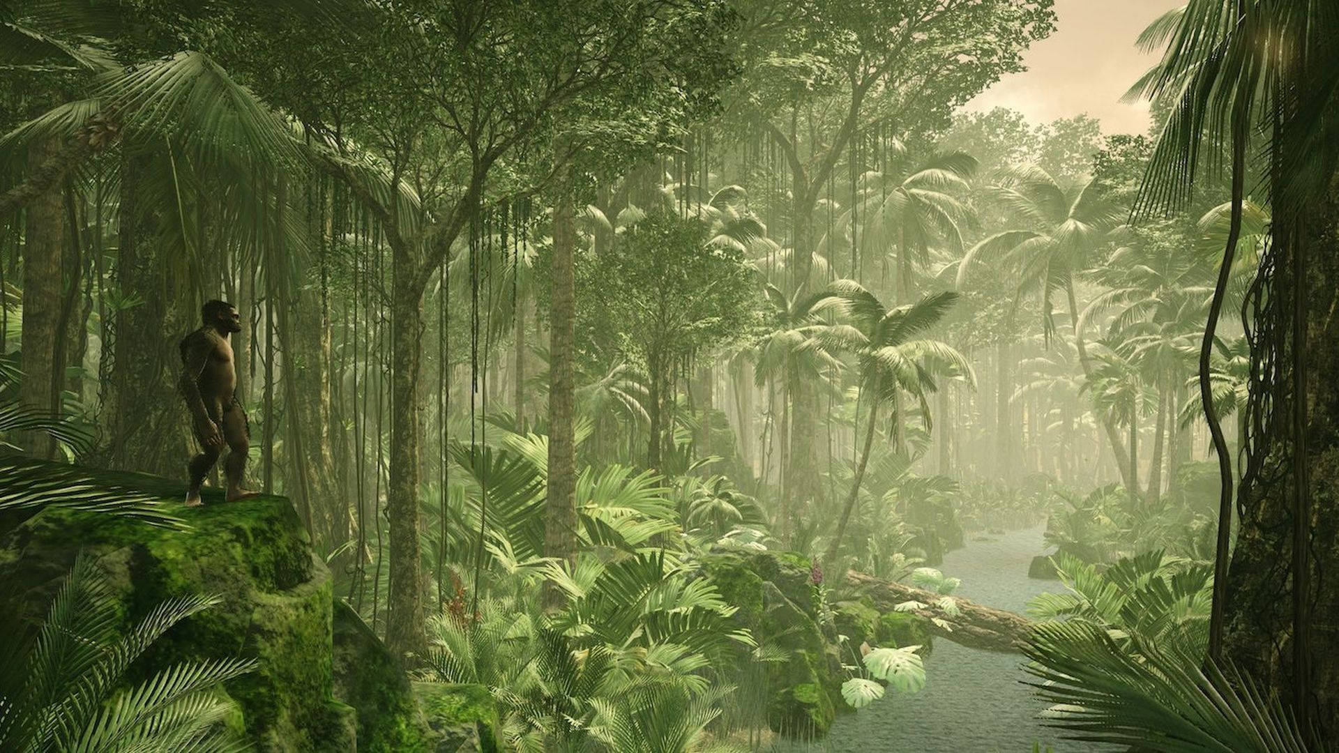 Humankind Game Rainforest