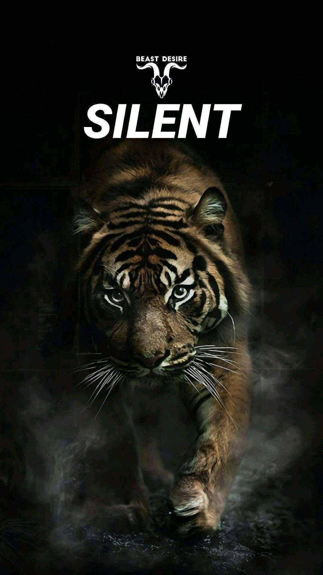 Humble And Silent Tiger Background