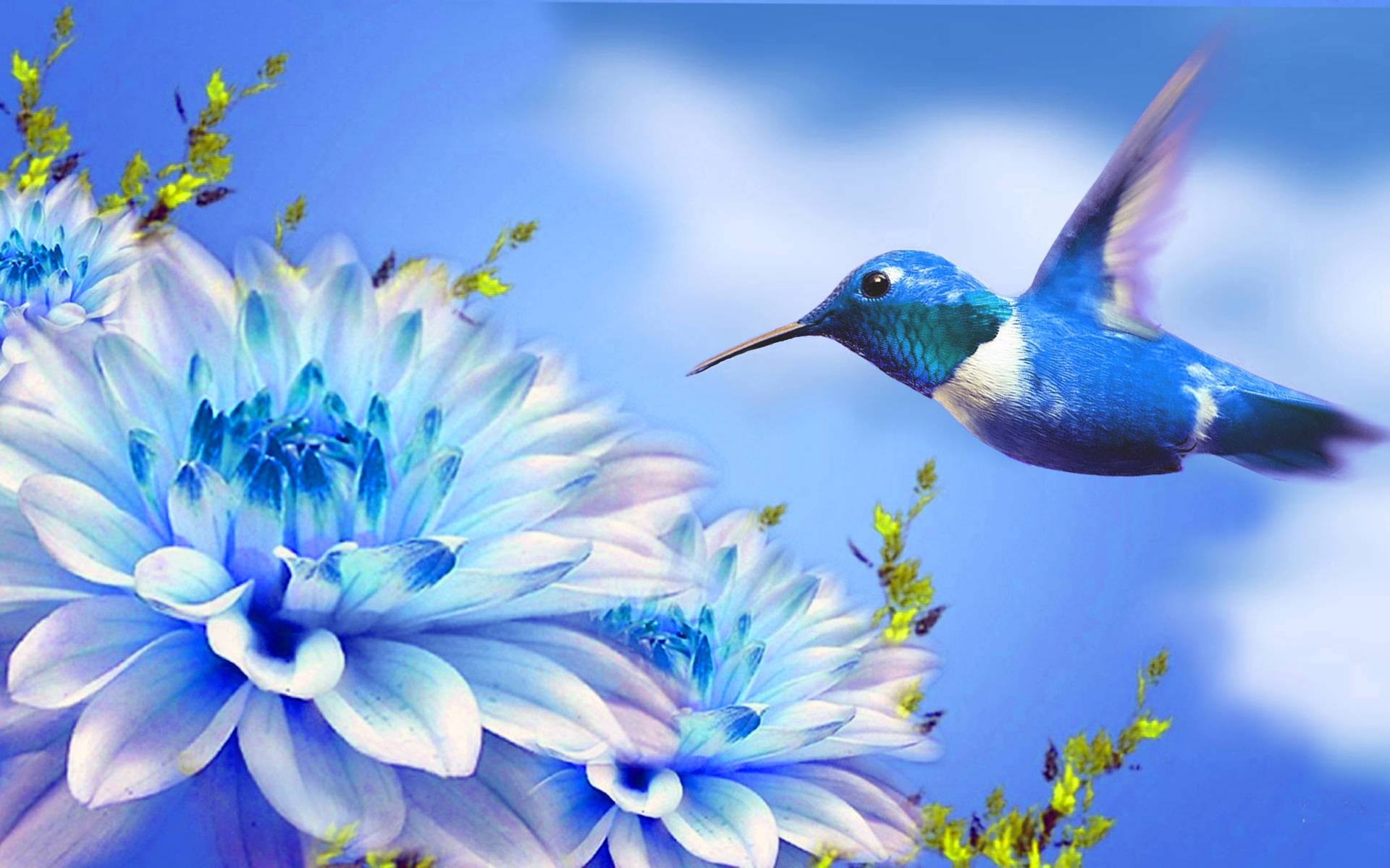 Hummingbird And Flower Digital Art Wallpaper
