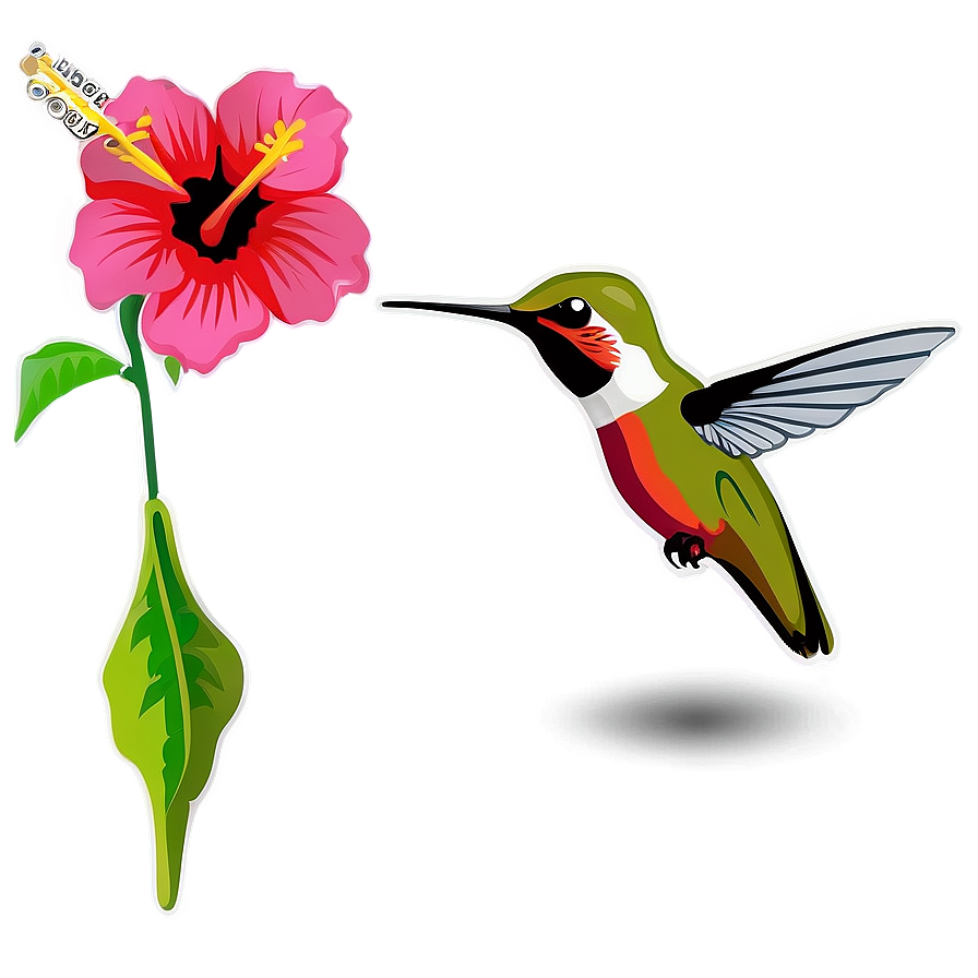 Hummingbird And Hibiscus Png Boa79 PNG