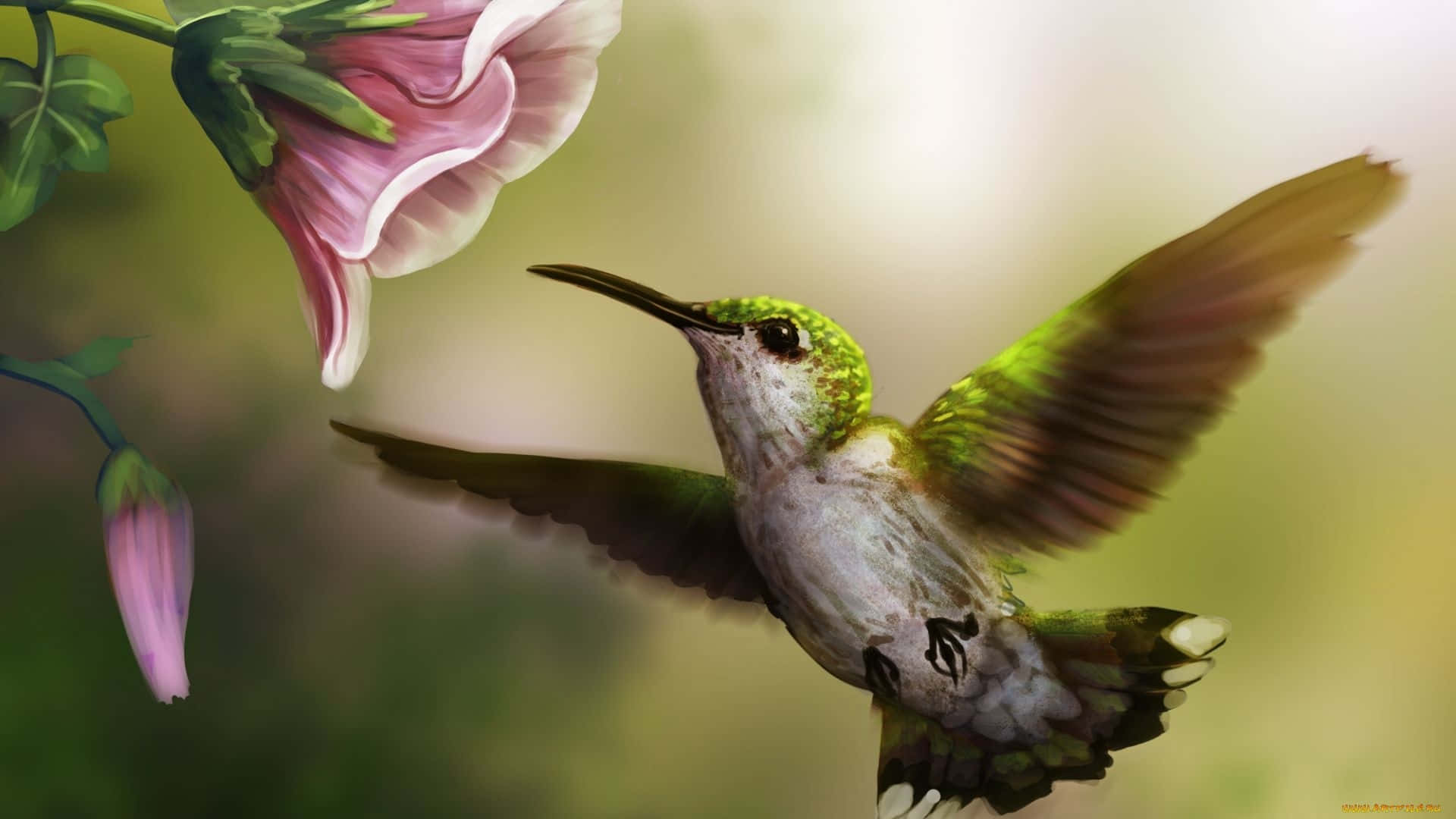 Fåen Närmare Titt På Naturens Skönhet Med Denna Vackra Bild På En Kolibri.