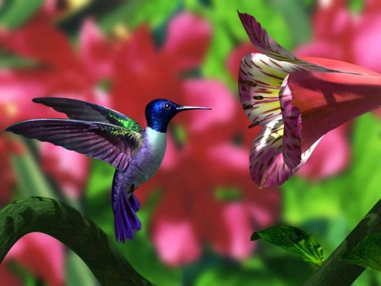 Bildein Bunter Kolibri Sitzt Auf Einem Ast Im Morgenlicht