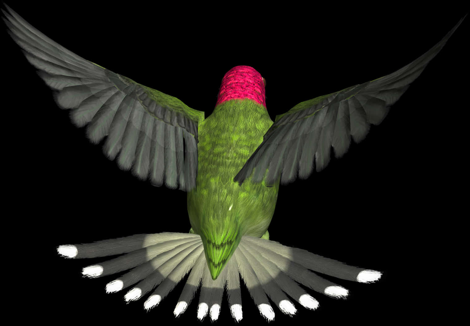 Hummingbird In Flight PNG