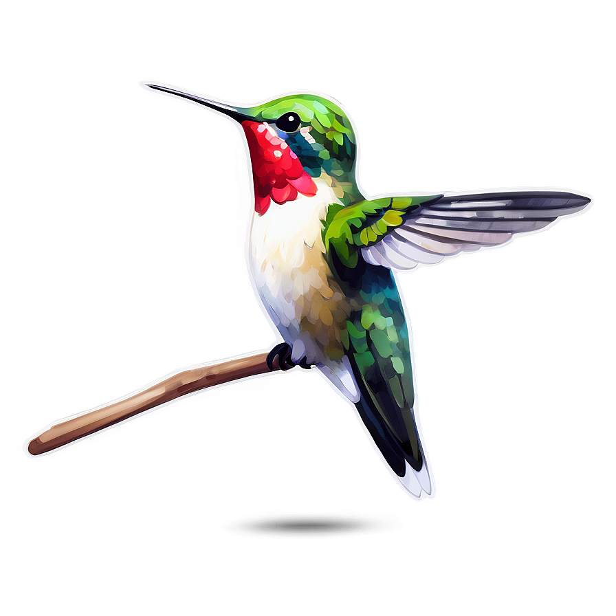 Hummingbird In Watercolor Style Png 17 PNG