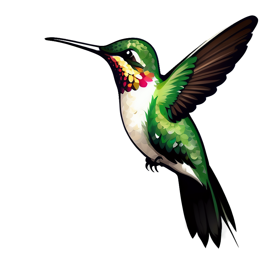 Hummingbird Vector Graphic Png 05212024 PNG